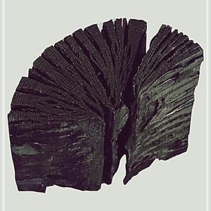 참숯 국산 간장숯 탈취 물정화 재래식된장 탈취숯 참숯습기제거 된장재래식