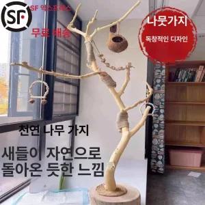 앵무새횟대 폴대타워 자바트리 대형 앵무새