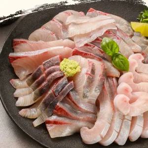 대방어 모듬회 500g (급냉 블럭)-급냉(-50도) 전용냉동고 보관 통영조업