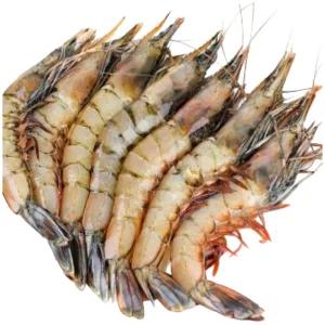 어부백서 자연산 대하 가을 대하 왕 새우 급속동결 1kg 35미 전후