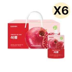 천호엔케어 석류즙 석류주스 콜라겐 비타민C 30포 X6