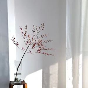 베하몰 사각 유리 화병 10x10x30cm글라스꽃 인테리어 화분 소품 투명 다용도 도병 향초 네모난