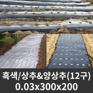 흑색 유공비닐 상추/양상추 0.03x300x200 (12구) 유공 잎채소 멀칭비닐 농업용 농사용