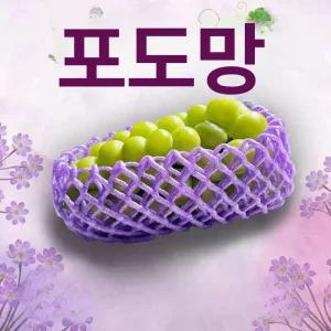 충격방지 과일 과일캡 포도 거봉 포장지 거봉 그물망