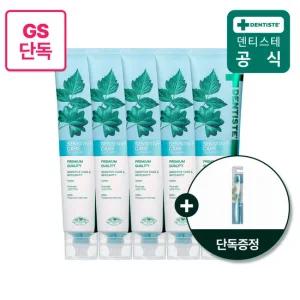 덴티스테 기능성치약 뉴센서티브케어 200g 5개 + 마이브러쉬 스몰헤드 증정