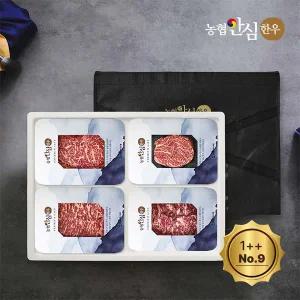 [롯데백화점]자연맛남 1++등급(No9) 농협안심한우 구이 1kg (등+채+업+특) 한우 선물세트