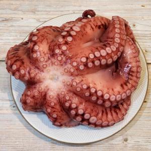 제수용 자숙문어 1마리 약 900g 내외 급냉