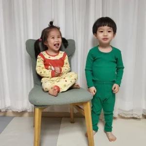 식탁의자 리폼 천갈이 커버 민트그린 (WFJY1EB)