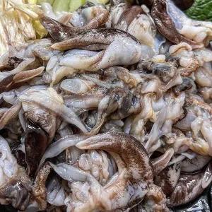 샤브샤브 손질 새조개살 1팩당300g 5팩