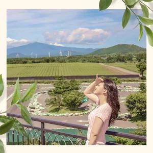 제주 오늘은 관광농원  / 제주 관광지 이색체험