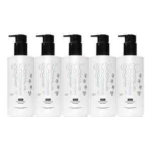 가히 공주부양 엑스트라 볼륨 부스터 샴푸 500ml 5개