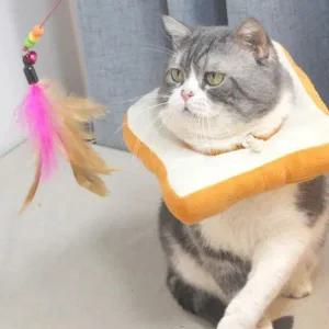 [콩심팥심]강아지 고양이 넥카라 목카라 목보호대 애견 깔대기