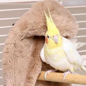 [콩심팥심]앵무새 따뜻한 미니 담요 포치 포근 텐트 앵무새집