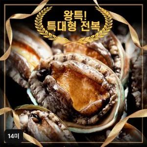 [NS홈쇼핑]완도활전복 왕특특대 14미 (106~120g)[34445225]
