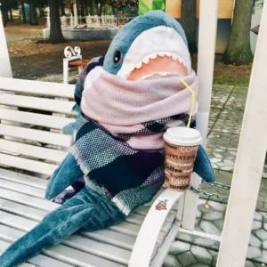 80CM 100CM 초대형 상어 인형 동물 수면 애착쿠션선물-아기상어인형.인형.이케아상어.봉재인형.부드러운