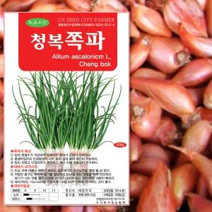 세인화분 2025 국산 예천 쪽파씨앗 쪽파 종자 종구 1kg - 쪽파모종 쪽파씨 쪽파씨앗