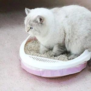[셀러에이드]고양이 배변 패드 배변 봉투 위생 관리 화장실 3롤