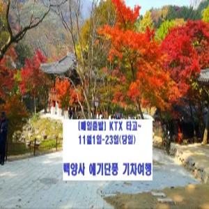 [SRT] 부안 내소사~고창 선운사 단풍 기차여행 (11/1-23 당일)
