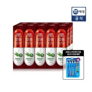 2080 진지발리스 유칼립투스 민트치약 150gX10입 (스트롱/후레쉬) + 칫솔 GIFT