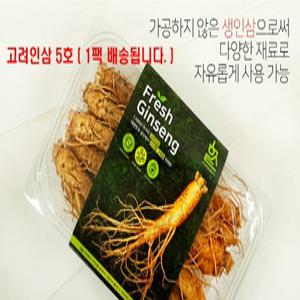 인삼 금산 수삼 삼 사포닌 6년근 5년근 인삼 명절선물세트