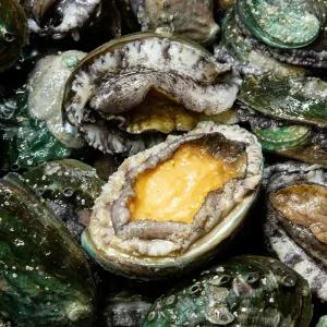 [산지플러스] 완도 활전복 1kg 9~10미 손질칼