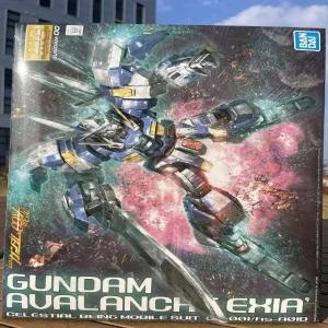 MG 100sc 아발란체 엑시아 건담 (WFGPYPH)