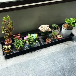 트레이 모종 받침판 모판 삽목상자 직사각 삽목상자 모종판받침대 식물트레이 육묘상자