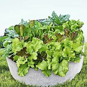 베란다 텃밭 부직포 화분 70x30cm 그레이 초대형화분 베란다 텃밭 부직포화분 텃밭화분