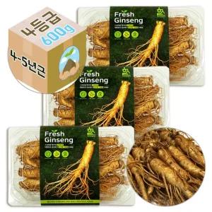 건강보감 고려 4-5년근 인삼 수삼 생 4호 가정용 1800g