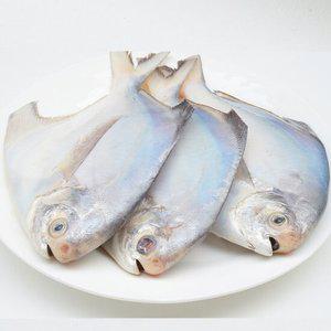 국내산 여수 병어 대형 10마리 2kg 내외