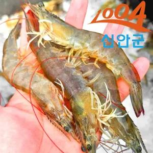 산지발송 전남신안 흰다리새우 1kg / 생새우 활새우