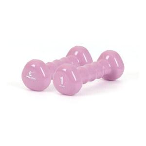 아이워너 PVC 삼각아령 1kg 2개 컬러아령 홈트레이닝 미용 헬스 덤벨 바벨