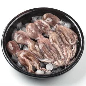 냉동 왕쭈꾸미 주꾸미 손질 4미 총 1kg