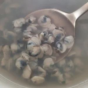 국내산 100% 자연산 섬진강 재첩국 500g x 2개 (1kg) 개운한 맛이 다른 재첩 하동 광양
