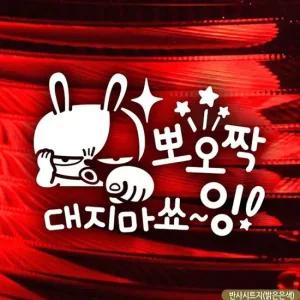 자동차 초보운전 스티커 반사형 뽀오짝대지마 표시 안전한 운전 초보운전 차량스티커