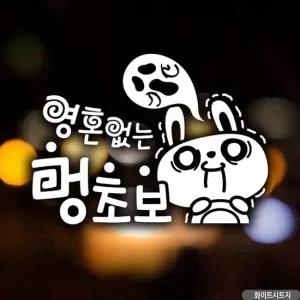 초보운전 자동차 스티커 영혼없는 멍 운전 초보 시트지 초보운전 차량스티커