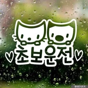 자동차 초보운전 스티커 귀여운 디자인 화이트 시트지 안전운전 표시 초보운전 차량스티커