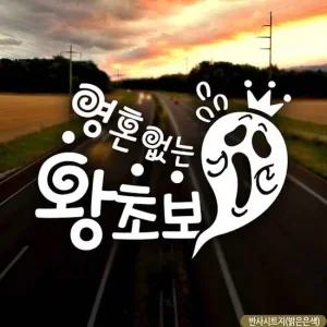 자동차 초보운전 스티커 방지용 반사 시트지 안전운전 초보운전 차량스티커