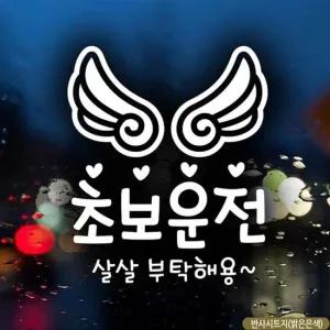 초보운전 자동차 스티커 살살 부탁 반사형 시트지 안전 운전 초보운전 차량스티커