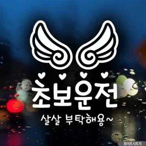 초보운전 차량 스티커 살살 부탁 안전 운전 화이트 시트지 초보운전 차량스티커