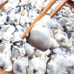 [하라네]통영 굴 제철 깐 생굴 산지직송 1kg