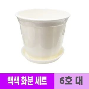 식물 화분대 사각화분 분갈이 거실화분 화분받침대 (WFJZ9CB)