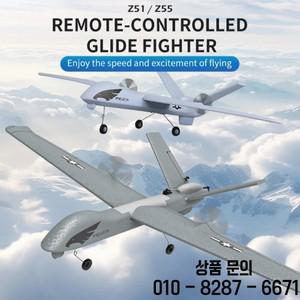 Z51 프레데터 RC 글라이더 2.4G 2CH 핸드 던지기 폼 비행기 조명 고정 660mm 윙스팬 항공기 피거 소년 14세