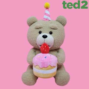 19곰 테드 딸기 케익 꼬깔 애착 곰 인형 시팅 30cm