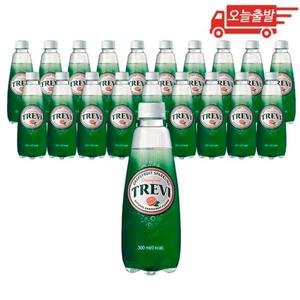 오늘출발 트레비 자몽 300ml 20개
