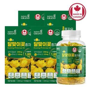 네이처그랜드 감마리놀렌산 달맞이꽃종자유 GLA 180캡슐 4박스 12개월분 PMS 월경 생리전증후군