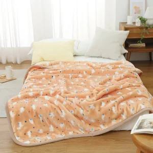 두꺼운 5mm 2겹 밍크 극세사 담요 무릎담요 이불 캠핑 차박 블랭킷 겨울 소형 대형 특대형