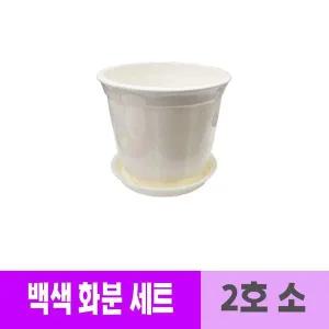 다육 화분 원형옥상 반려식물화분 거실 다육이화분