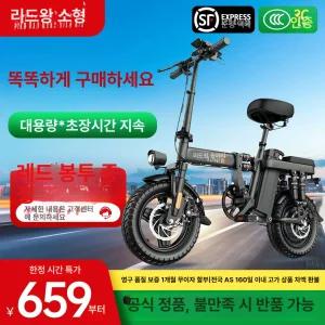 지포스 접이식 전기자전거 48V G-force