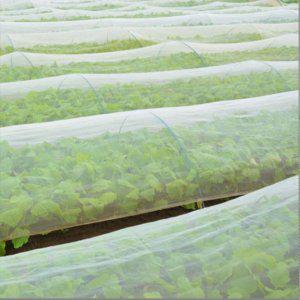 한랭사 해충방지 한냉사 방충망 농작물보호망 2x50m